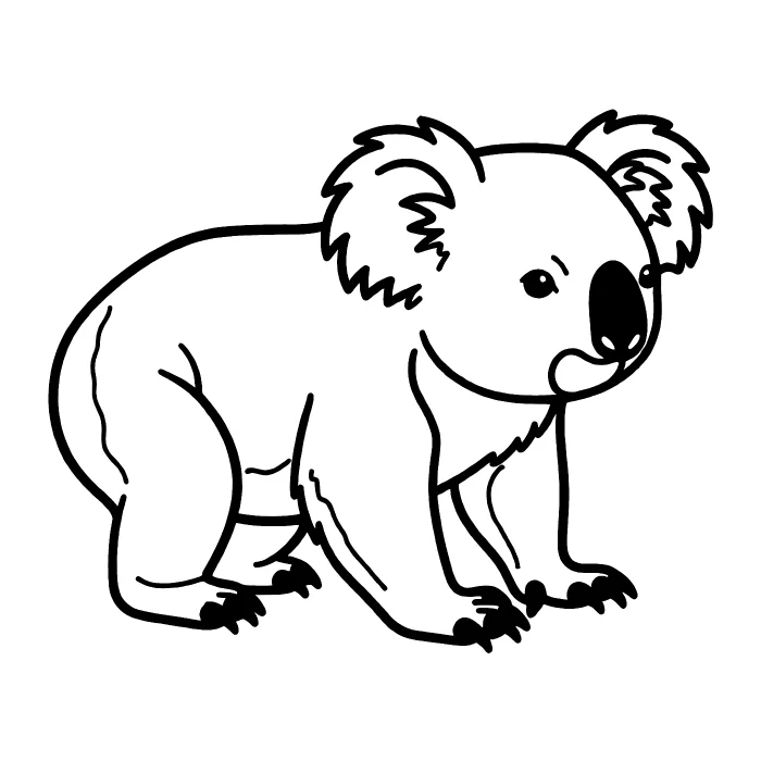 Коала: Идёт по земле