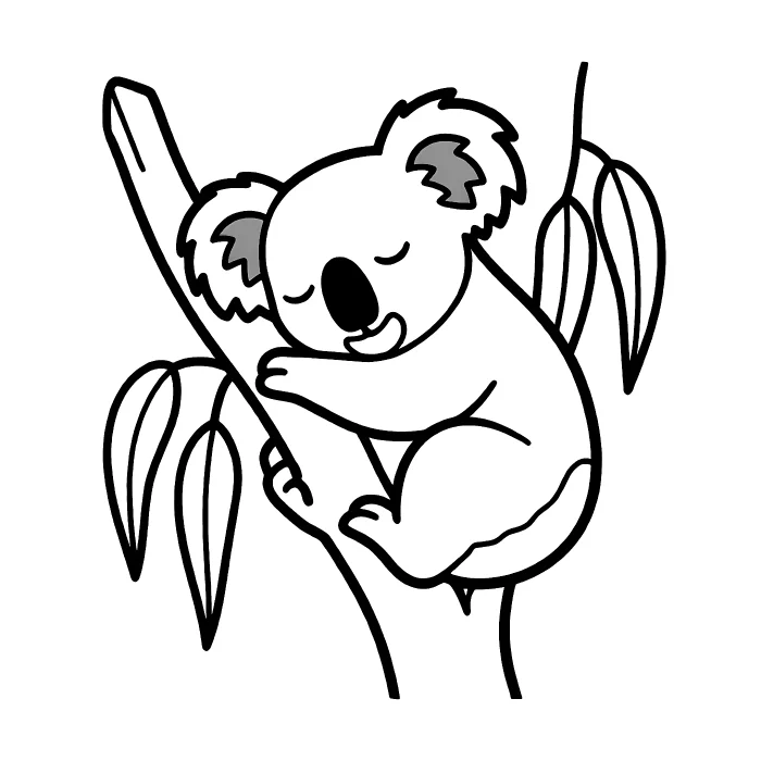 Коала: Спит