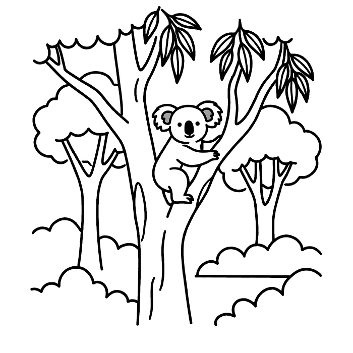 Коала: В лесу