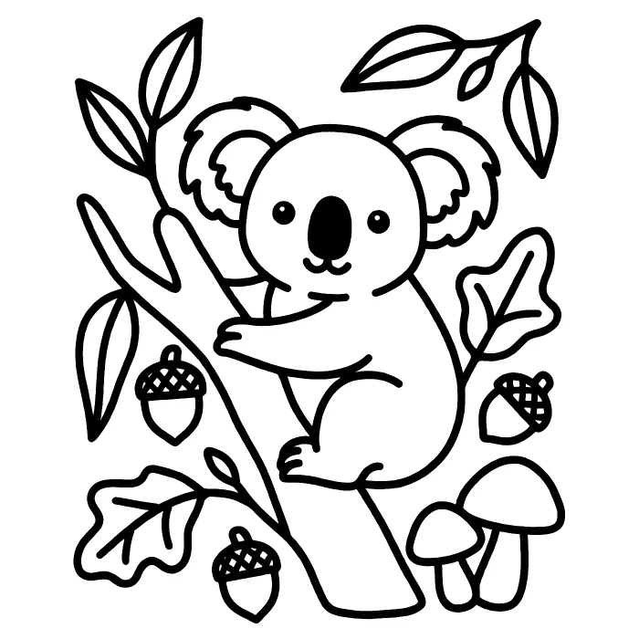 Коала: Осенью