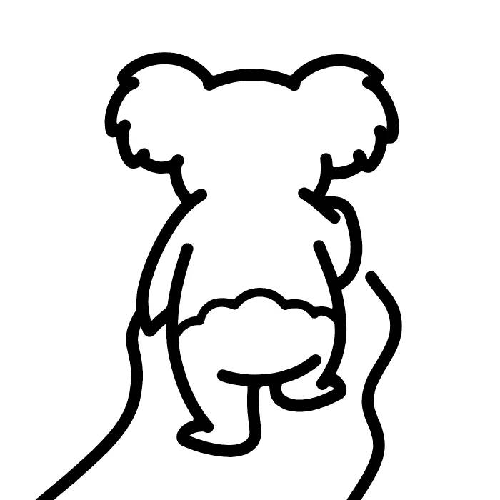 Коала: Со спины