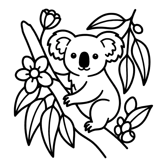 Коала: Узор