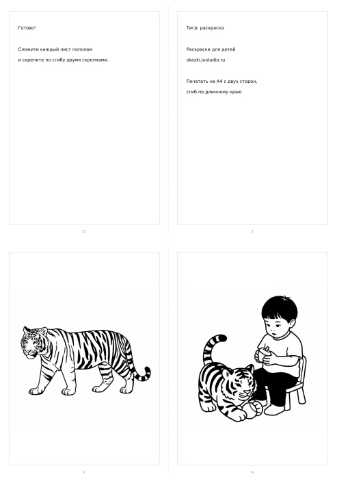 Книжечка «Тигр: раскраска»